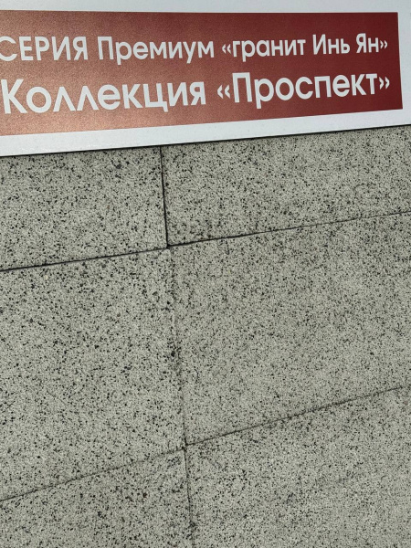 Плита «Проспект»  600х300х60 мм Гранит "Инь-Ян"